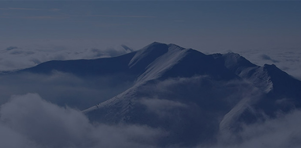 俄罗斯专享会官网产业